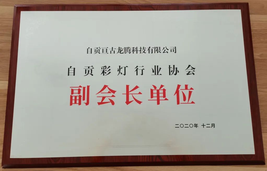 自贡彩灯行业协会正式成立，恭喜亘古被授牌“协会副会长单位”